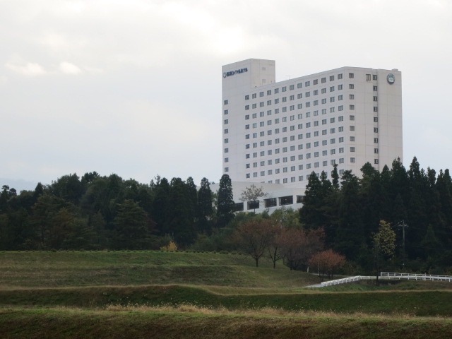 小高い丘