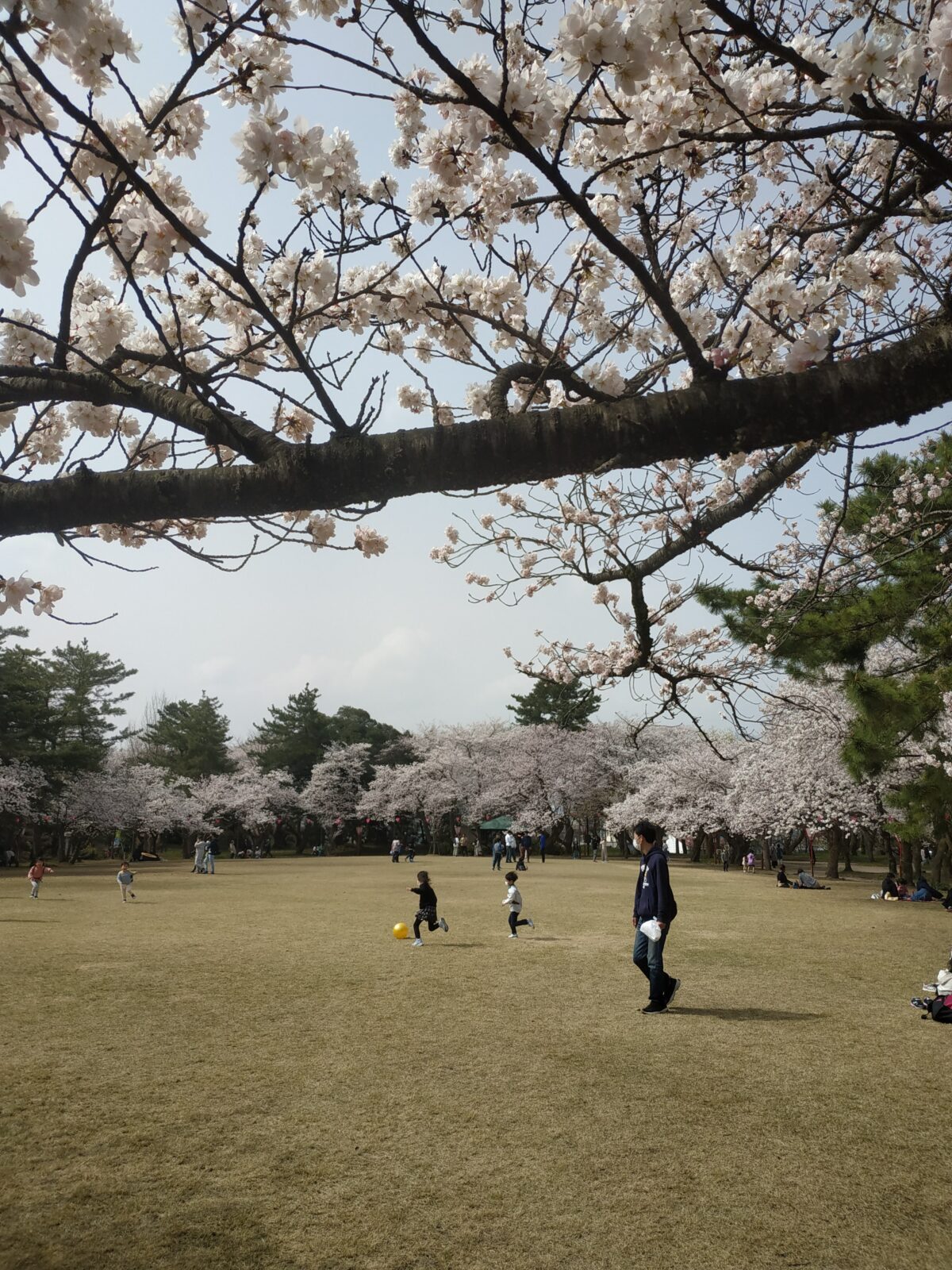 高岡古城公園