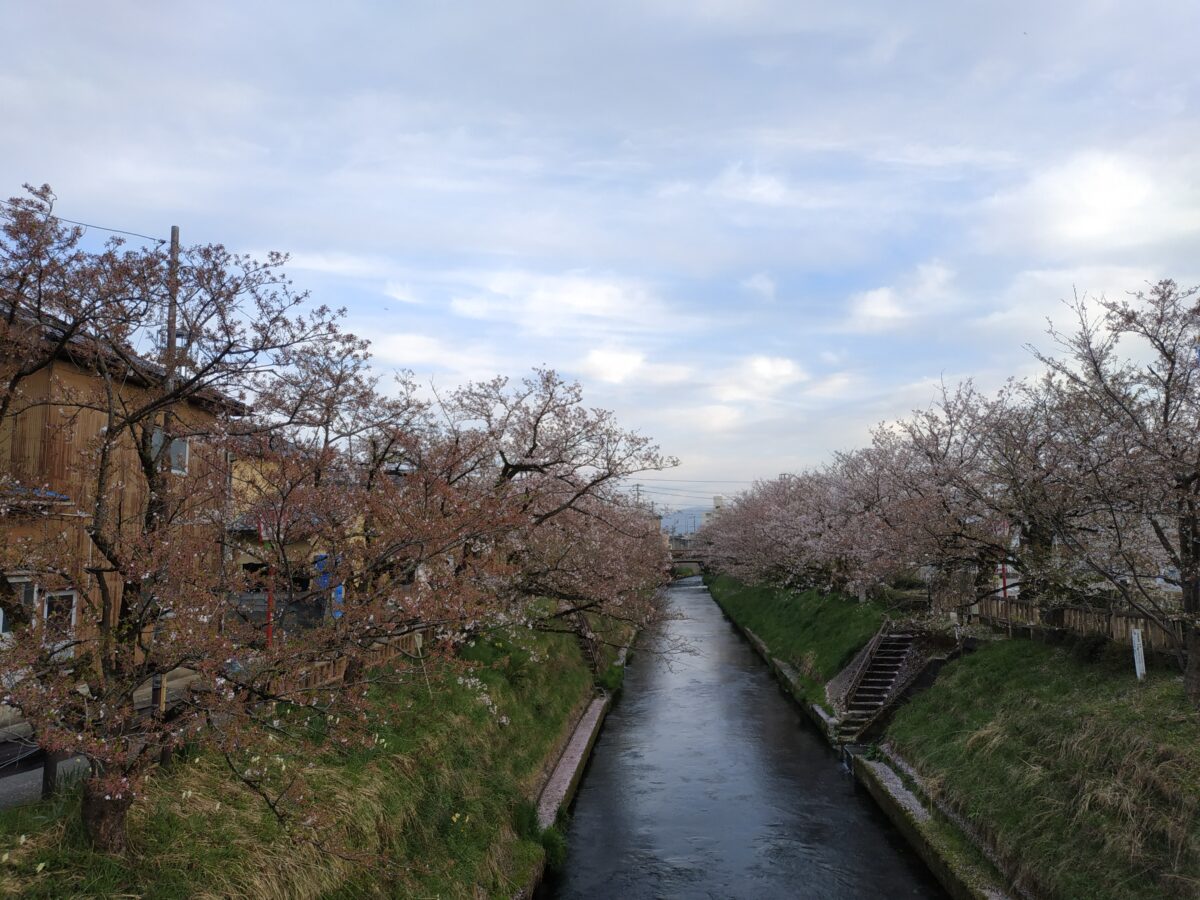 岸渡川沿い