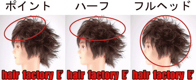 ポイント・ハーフ・フルヘッド